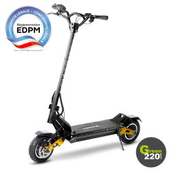 GREEN220.de » Elektrischer Scooter Hiley Tiger 10 Pro