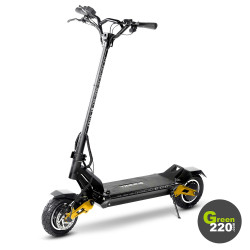 GREEN220.de » Elektrischer Scooter Hiley Tiger 10 Pro