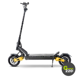 GREEN220.de » Elektrischer Scooter Hiley Tiger 10 Pro