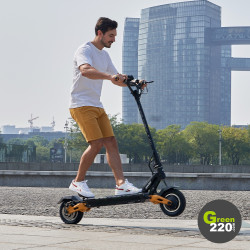 GREEN220.de » Elektrischer Scooter Hiley Tiger 10 Pro