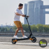 GREEN220.de » Elektrischer Scooter Hiley Tiger 10 Pro