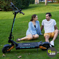 GREEN220.de » Elektrischer Scooter Hiley Tiger 10 Pro