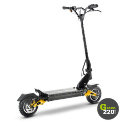 GREEN220.de » Elektrischer Scooter Hiley Tiger 10 Pro