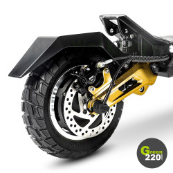 GREEN220.de » Elektrischer Scooter Hiley Tiger 10 Pro