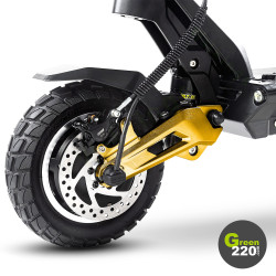 GREEN220.de » Elektrischer Scooter Hiley Tiger 10 Pro