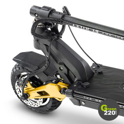 GREEN220.de » Elektrischer Scooter Hiley Tiger 10 Pro