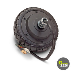 GREEN220.de » Motor für Wiizzee WS1Light Scooter