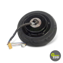 GREEN220.de » Motor 250W für Scooter Wiizzee WS1