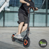 Inmotion Climber Elektrischer Roller l Green220.de