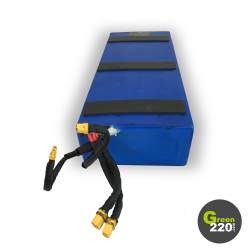 GREEN220.de » 24A Batterie für Hiley Tiger 10 Pro Scooter