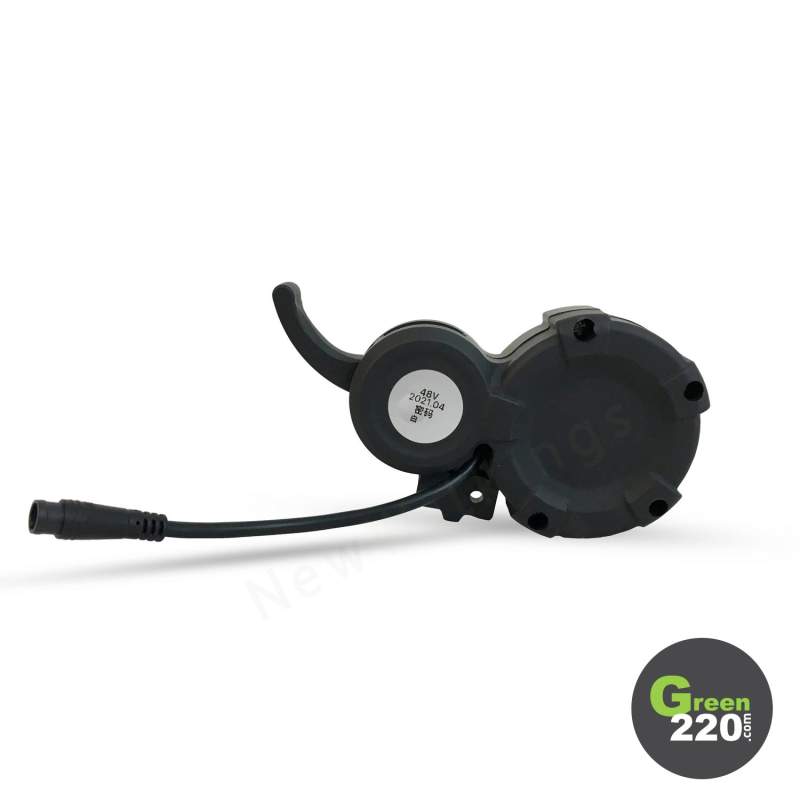 GREEN220.de » Steuerung für Gaspedal/Display für Scooter Hiley Tiger 8