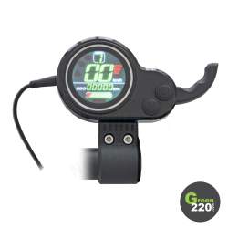 Steuerung von Gaspedal/Display - WS5 / WS7