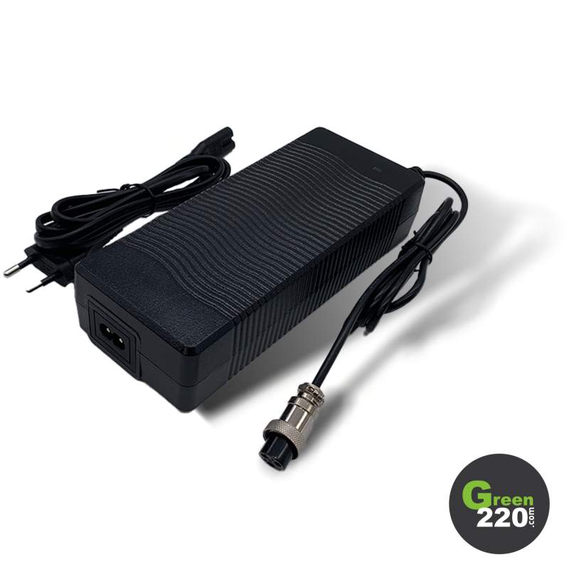 GREEN220.de » 48V Ladegerät für Wiizzee WS11 Scooter