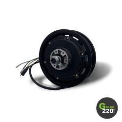 GREEN220.de » Motor für Scooter Wiizzee WS11