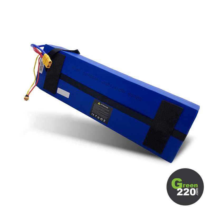 GREEN220.de » Batterie für Scooter Wiizzee WS11
