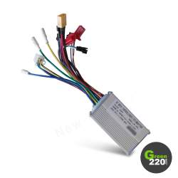 GREEN220.de » Hauptplatine für Scooter Wiizzee WS3 / WS3 Max