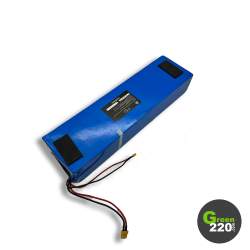GREEN220.de » Batterie für Scooter Wiizzee WS9 Max