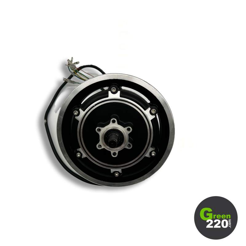 GREEN220.de » Motor 500 W für Scooter Wiizzee WS5 Max