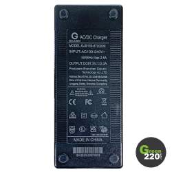 GREEN220.de » 60V Ladegerät für Scooter VSett 10+