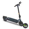 Kingsong KS-N12 Pro Elektrischer Roller l Green220.de