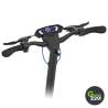 Kingsong KS-N12 Pro Elektrischer Roller l Green220.de