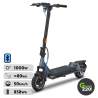 Kingsong KS-N12 Pro Elektrischer Roller l Green220.de