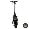 Teverun Fighter Supreme 7260R Elektroroller / Green220.de