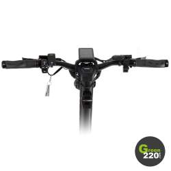 Teverun Fighter Supreme 7260R Elektroroller / Green220.de