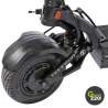 Teverun Fighter Supreme 7260R Elektroroller / Green220.de