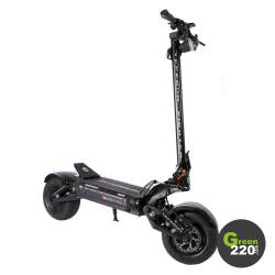 Teverun Fighter Supreme 7260R Elektroroller / Green220.de