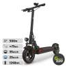 GREEN220.de » Elektrischer Scooter Wiizzee WS9 Max