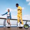 Inmotion E20 Einrad l Green220.de