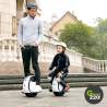 Inmotion E20 Einrad l Green220.de