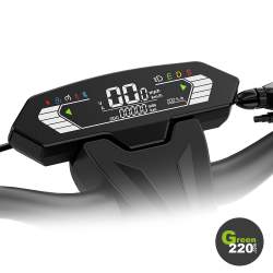 Kingsong KS-N14 Elektrischer Roller l Green220.de