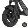Kingsong KS-N14 Elektrischer Roller l Green220.de