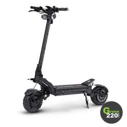 Teverun Fighter Supreme 7260R Elektroroller / Green220.de