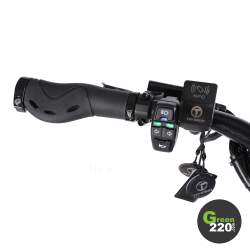 Teverun Fighter Supreme 7260R Elektroroller / Green220.de