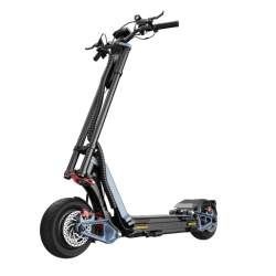 Inmotion RS Elektrischer Scooter l Green220.de