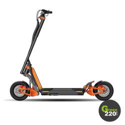 Inmotion RS Lite Elektrischer Scooter l Green220.de