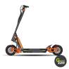 Inmotion RS Lite Elektrischer Scooter l Green220.de