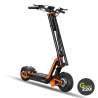 Inmotion RS Lite Elektrischer Scooter l Green220.de