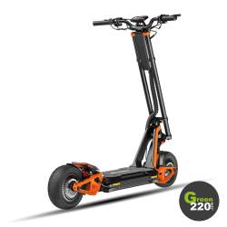 Inmotion RS Lite Elektrischer Scooter l Green220.de