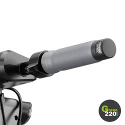 Elektrischer Roller Inmotion S1F l Green220.de