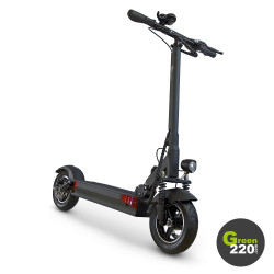 GREEN220.de » Elektrischer Scooter Wiizzee WS9 Max