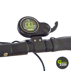 GREEN220.de » Elektrischer Scooter Wiizzee WS9 Max