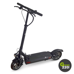 GREEN220.de » Elektrischer Scooter Wiizzee WS9 Max