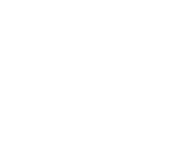 GREEN220.com » Alle Unsere ElektroRoller Kingsong